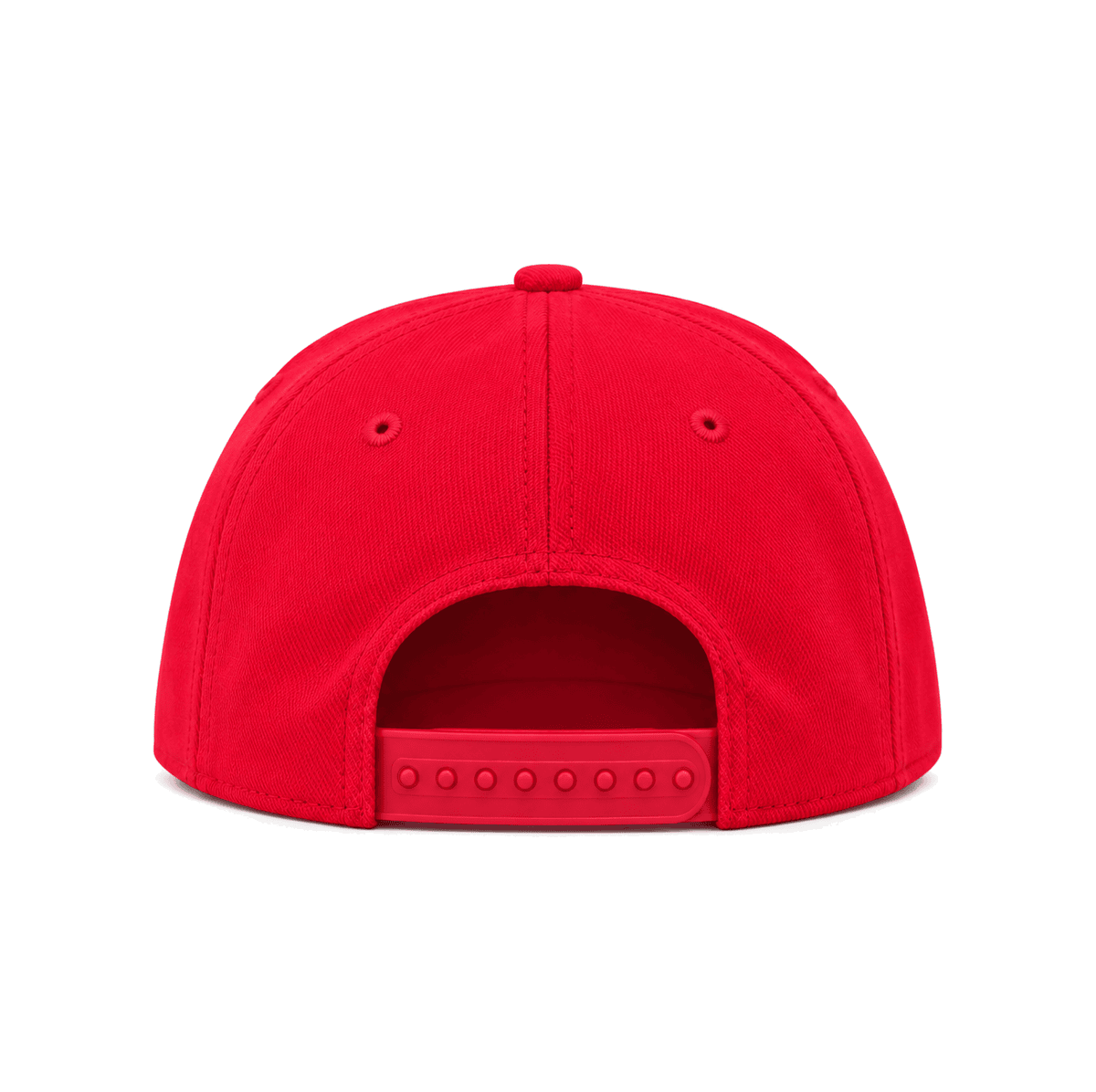 THE BALDWIN — RESID3NCY Pittsburgh snapback, back