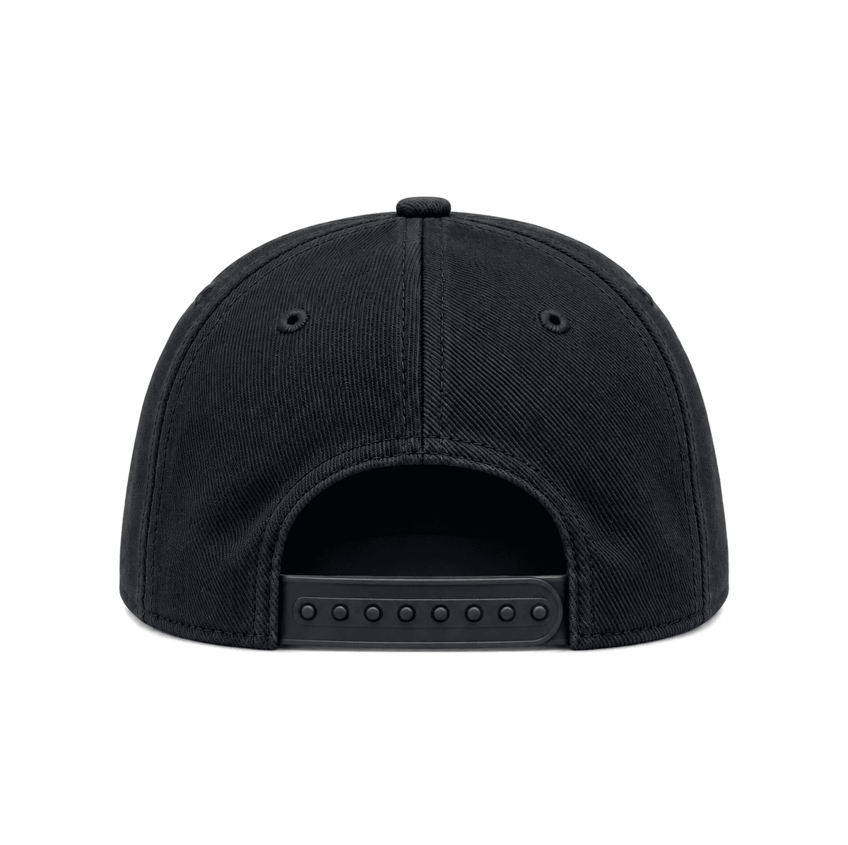 THE AGC — RESID3NCY Pittsburgh snapback, back