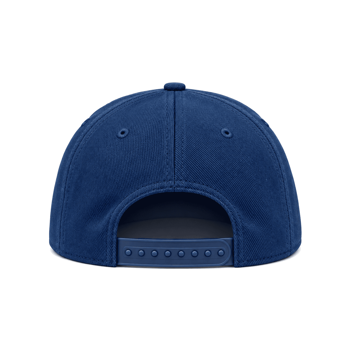 THE ARLINGTON — RESID3NCY Dallas snapback, back