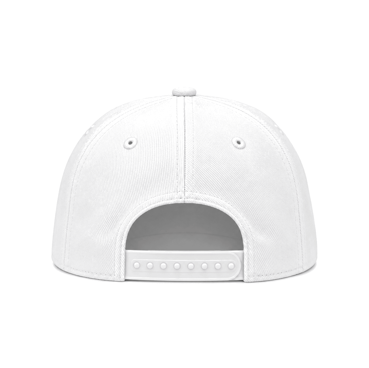 THE BAY BEACH — RESID3NCY San Francisco snapback, back