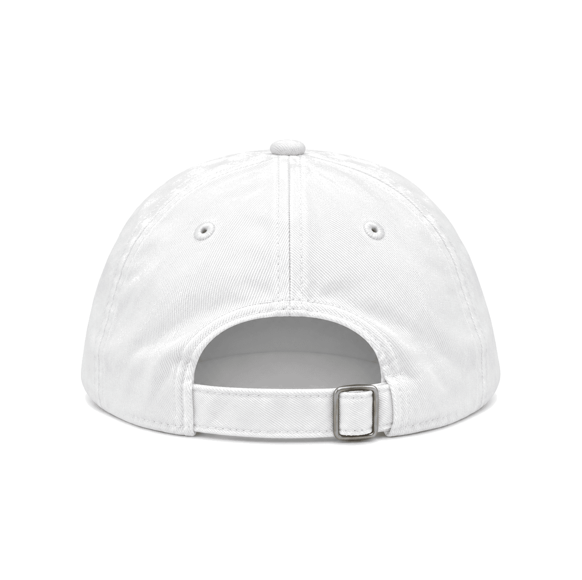 THE BAY DAD — RESID3NCY San Francisco dad hat, back