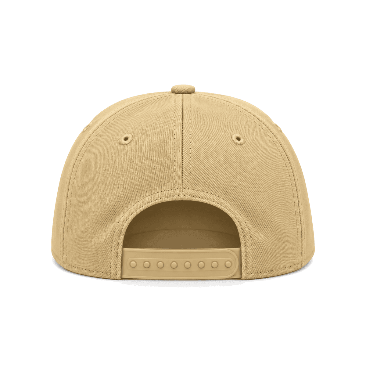 THE PRESIDIO — RESID3NCY San Francisco snapback, back
