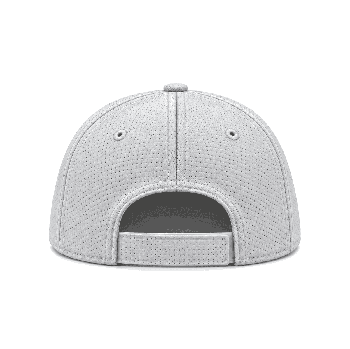 THE RICHMOND ATHLETE — RESID3NCY San Francisco snapback, back