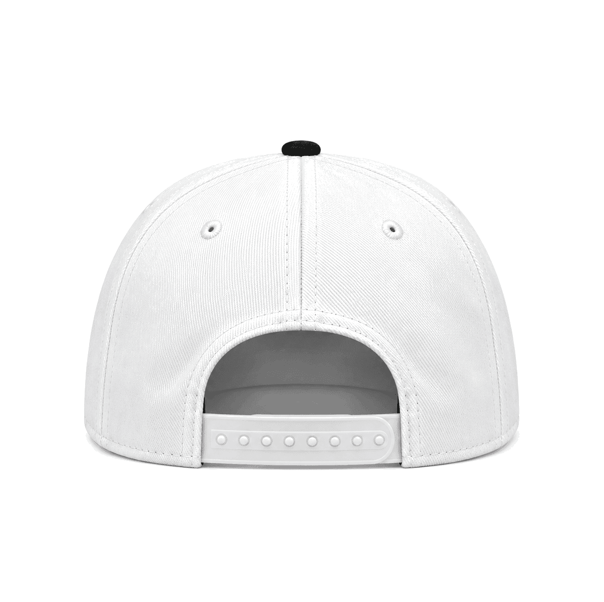 THE SF MEXICO — RESID3NCY San Francisco snapback, back