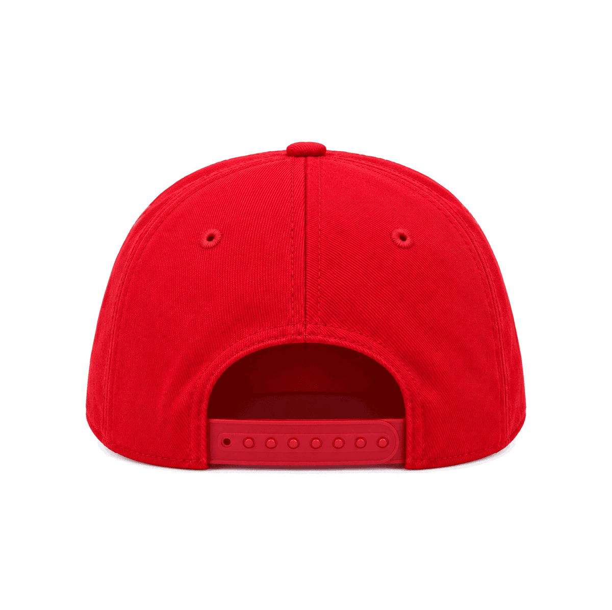 THE TARK — RESID3NCY Las Vegas snapback, back
