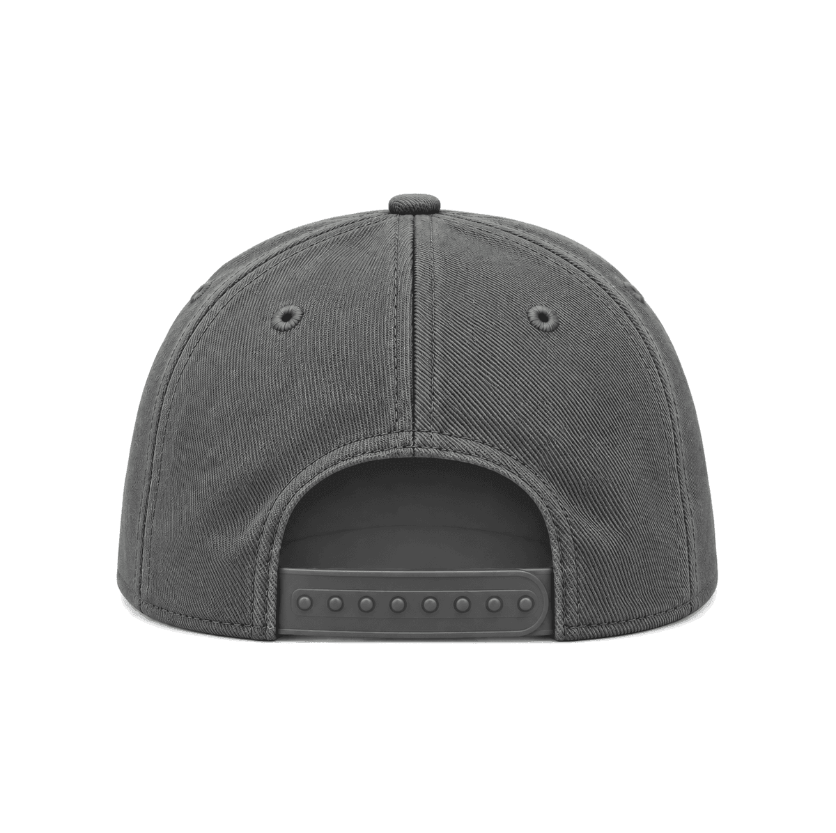 THE TWENTY FOUR — RESID3NCY Tennessee snapback, back