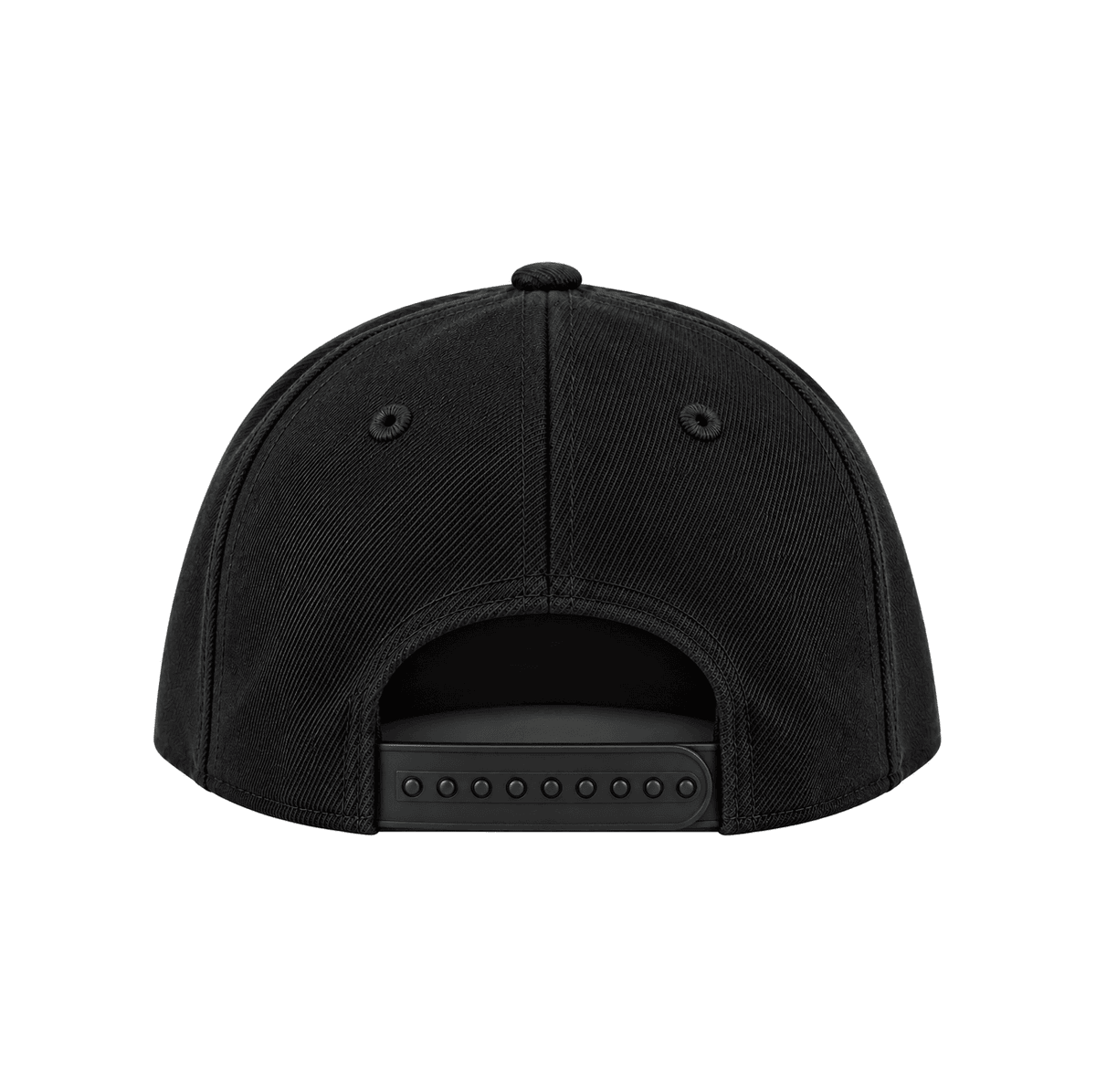 THE TWO ONE FIVE — RESID3NCY Philadelphia snapback, back