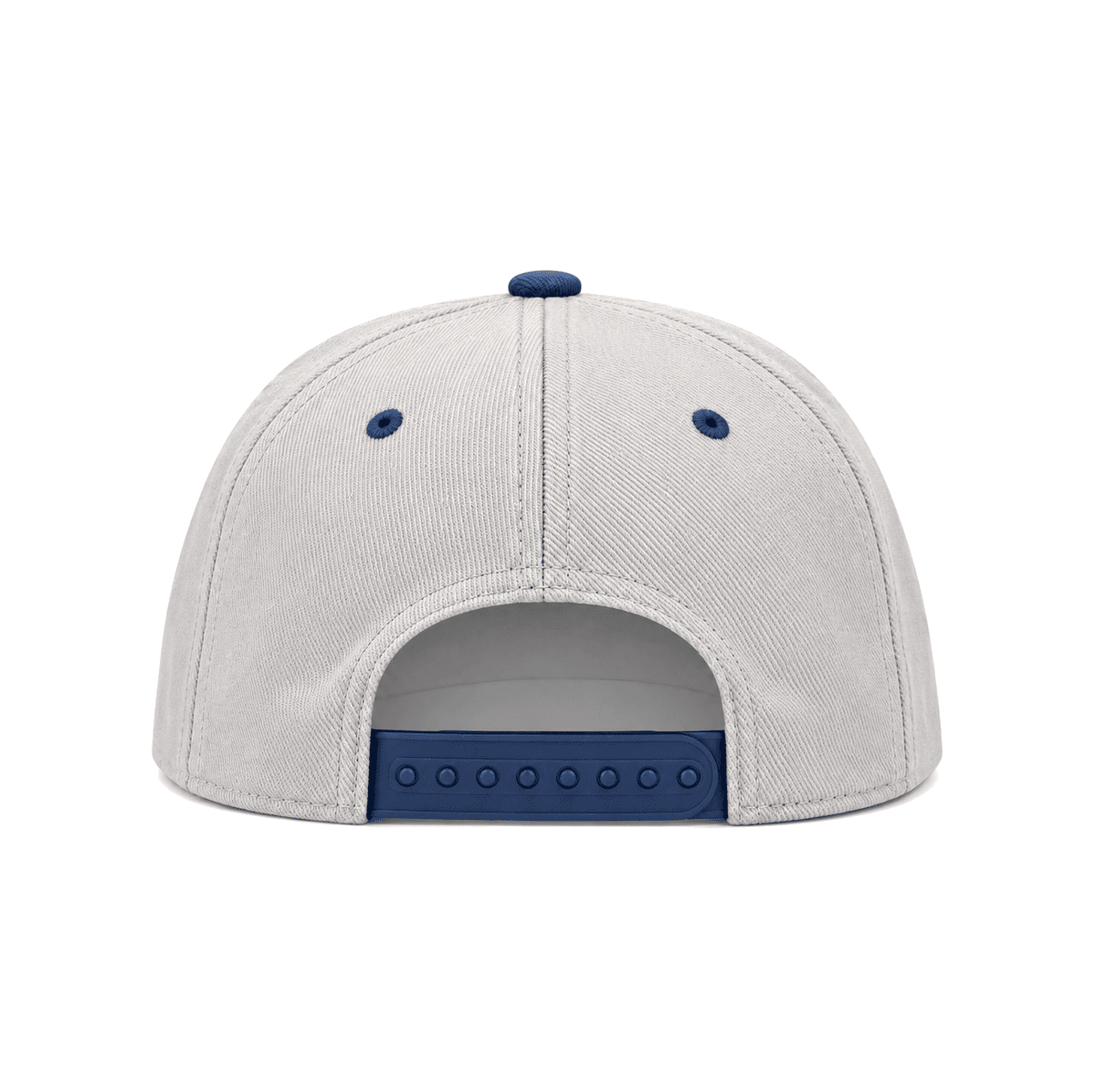 THE TWO ONE FOUR — RESID3NCY Dallas snapback, back