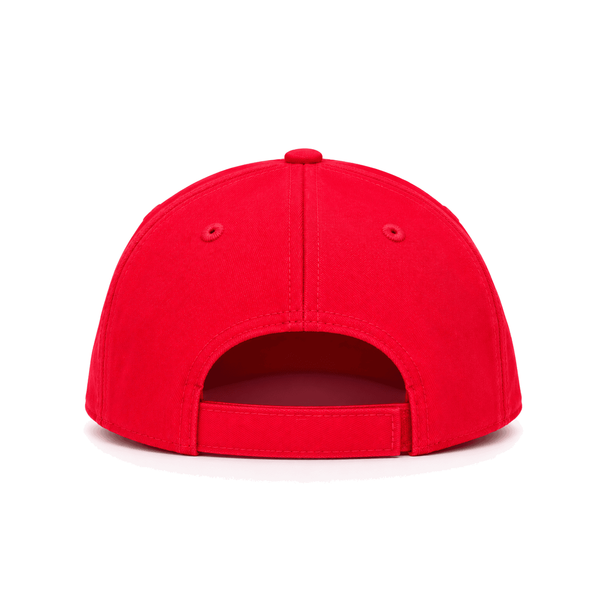 THE ATL — RESID3NCY Atlanta snapback, back