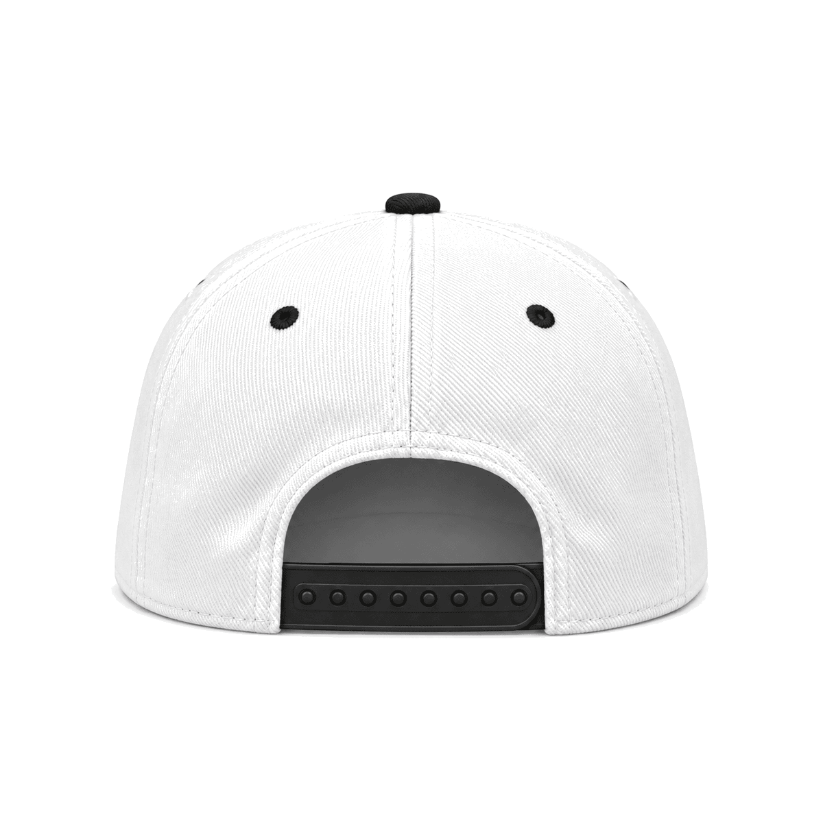 THE BRIDGEVILLE — RESID3NCY Pittsburgh snapback, back