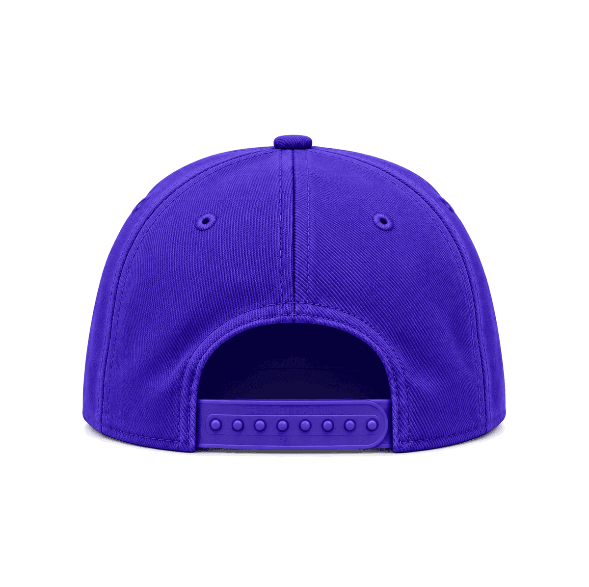 THE DOWNTOWN — RESID3NCY Phoenix snapback, back