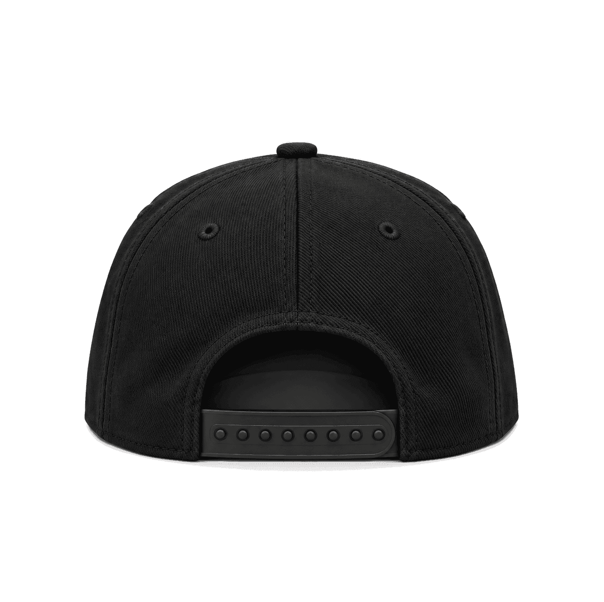 THE DTSAC — RESID3NCY Sacramento snapback, back