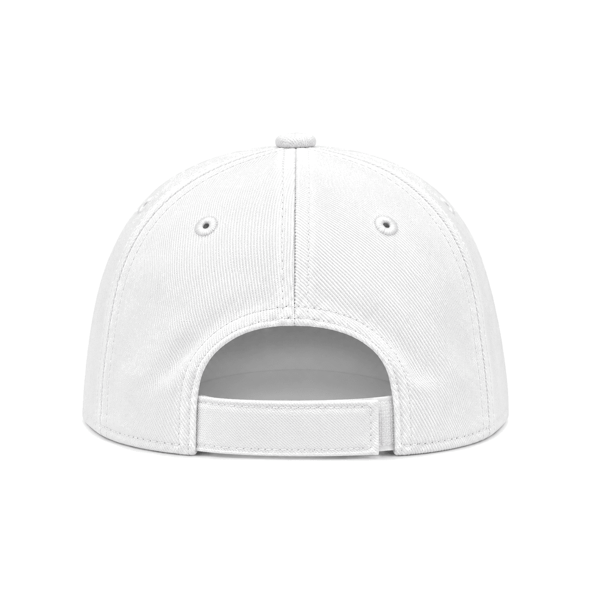THE FLATS — RESID3NCY Pittsburgh snapback, back