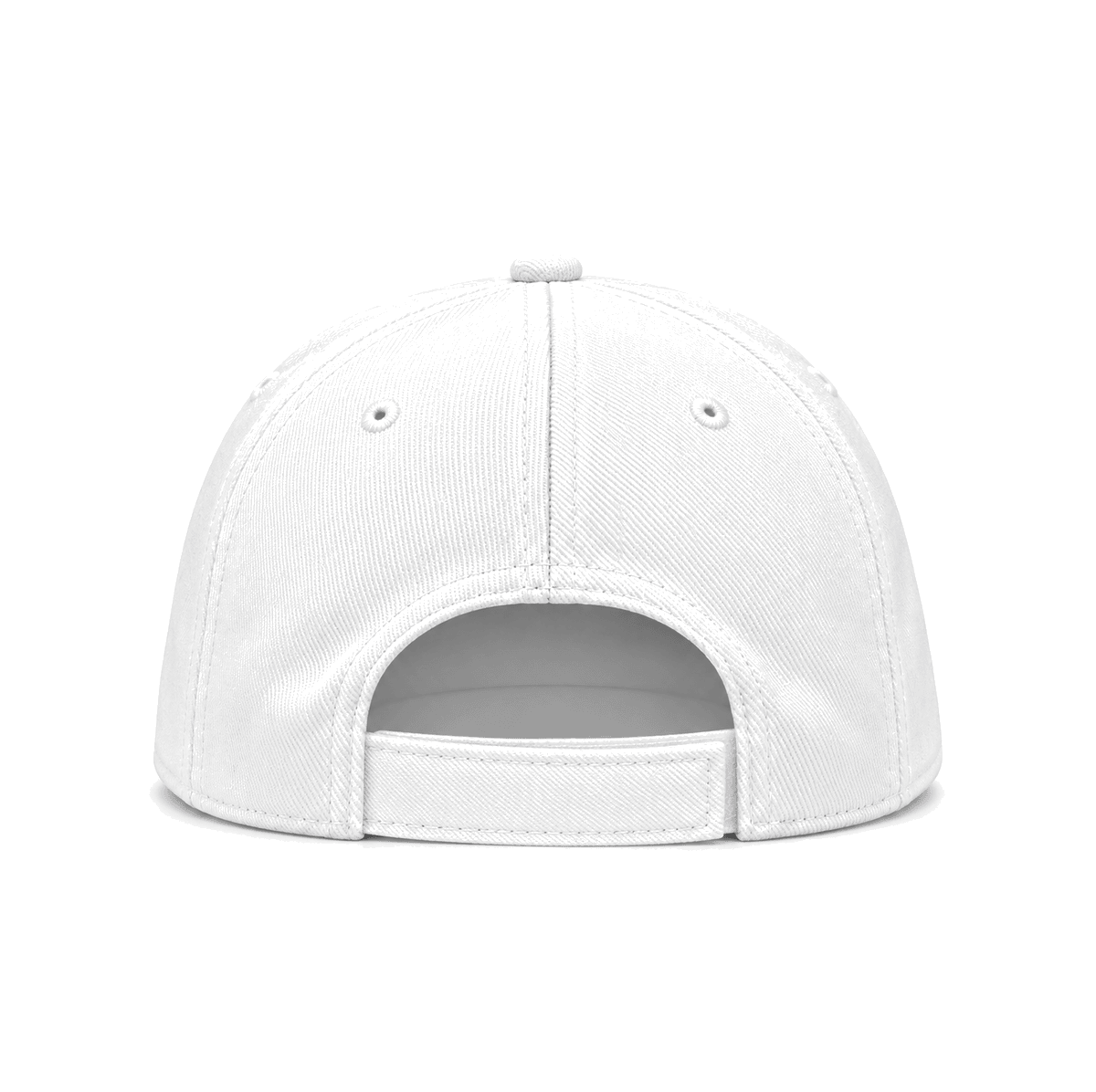 THE FRISCO — RESID3NCY Dallas snapback, back