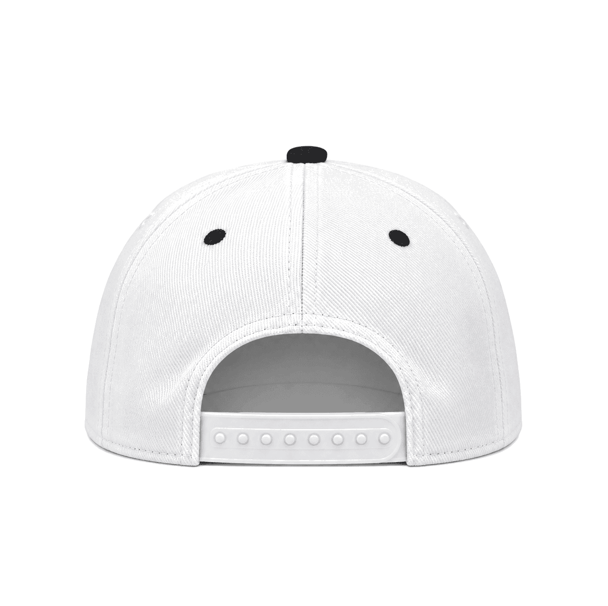 THE JONES — RESID3NCY Las Vegas snapback, back