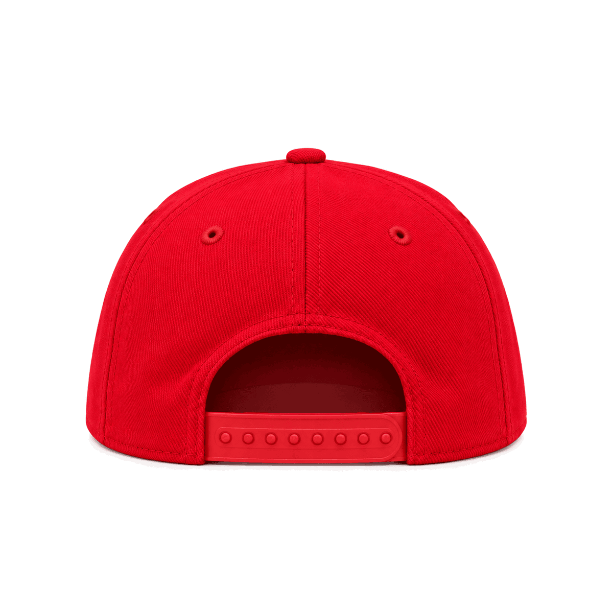 THE LAX — RESID3NCY Los Angeles snapback, back
