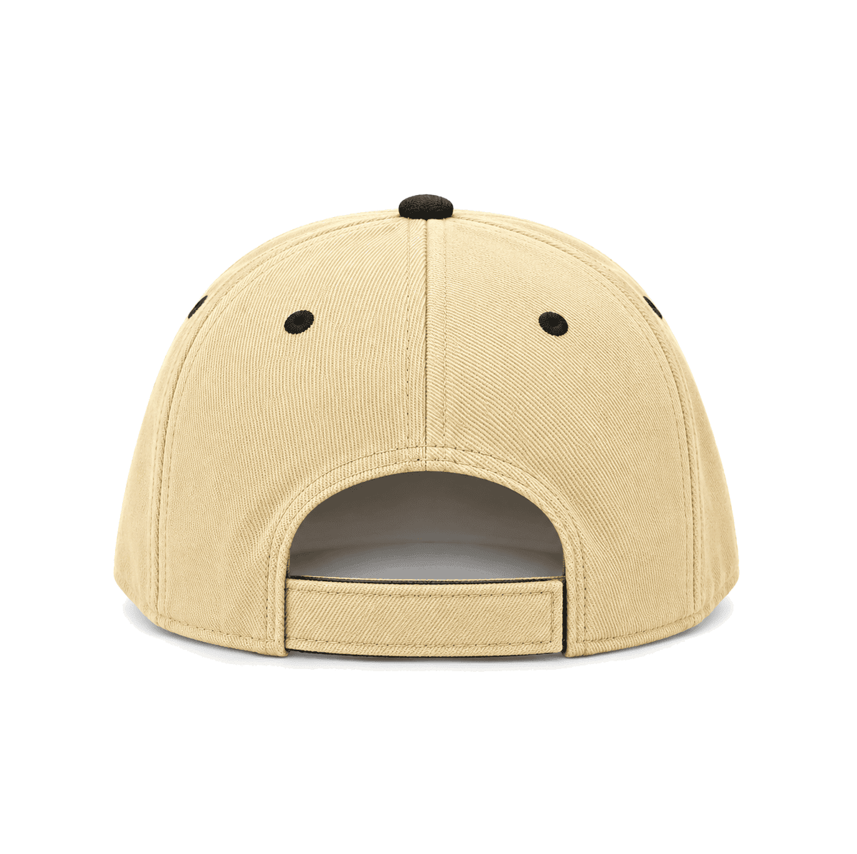 THE LOMBARD — RESID3NCY San Francisco snapback, back