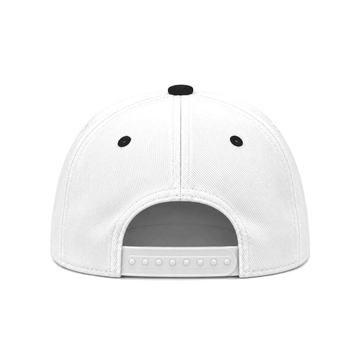THE LONG BEACH — RESID3NCY Los Angeles snapback, back
