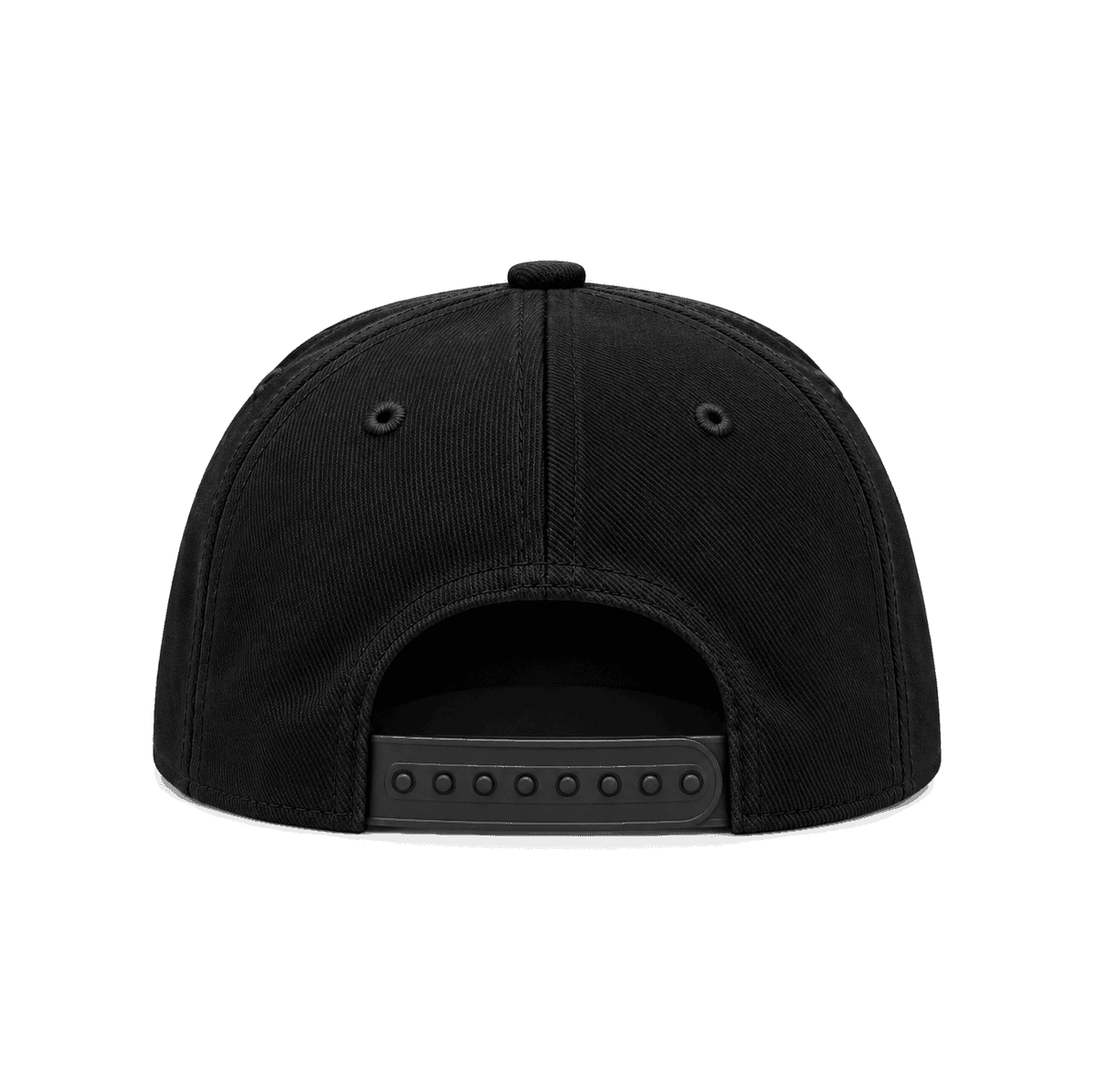 THE NATION — RESID3NCY Las Vegas snapback, back