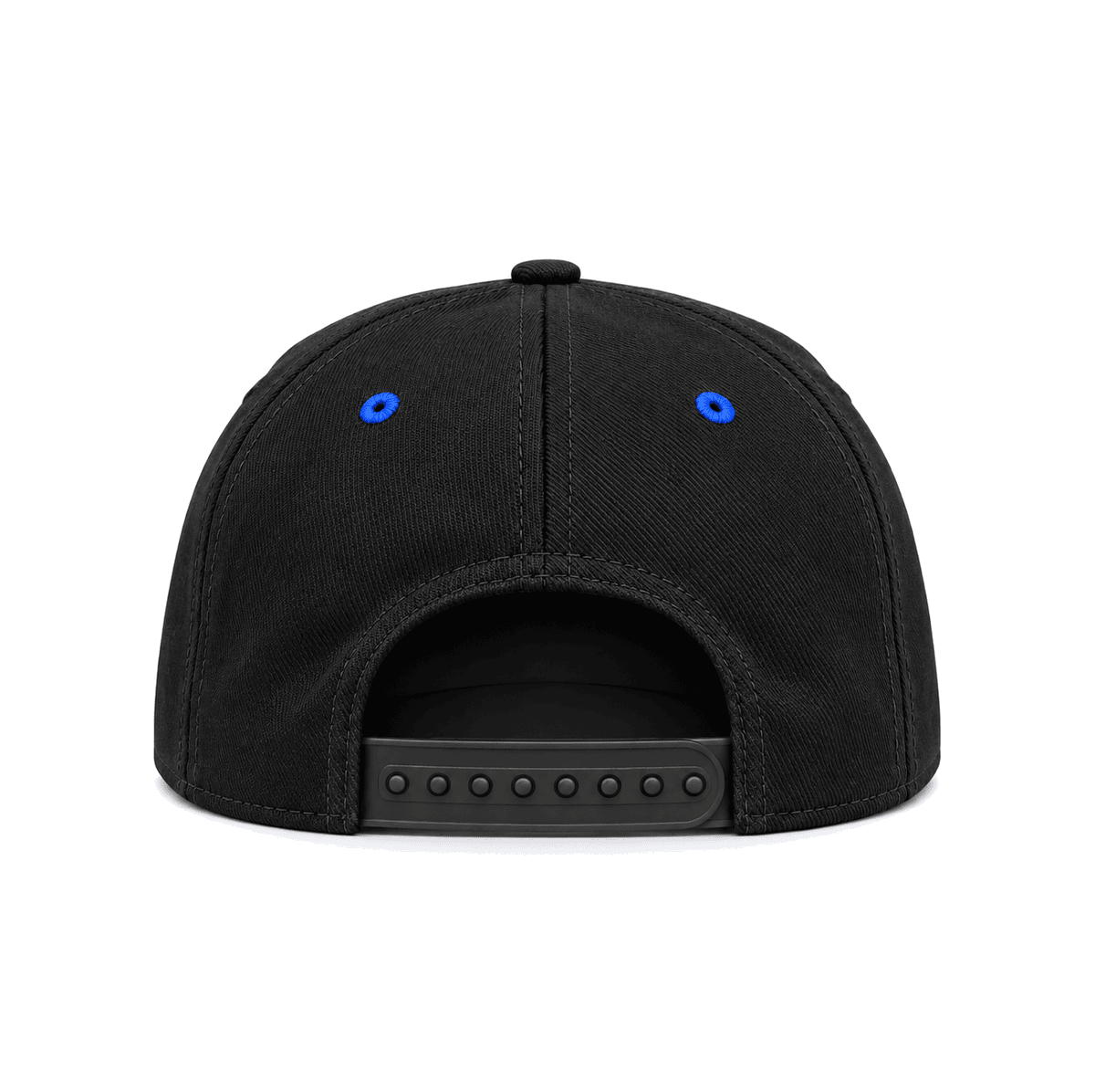 THE ONE TEN — RESID3NCY Los Angeles snapback, back