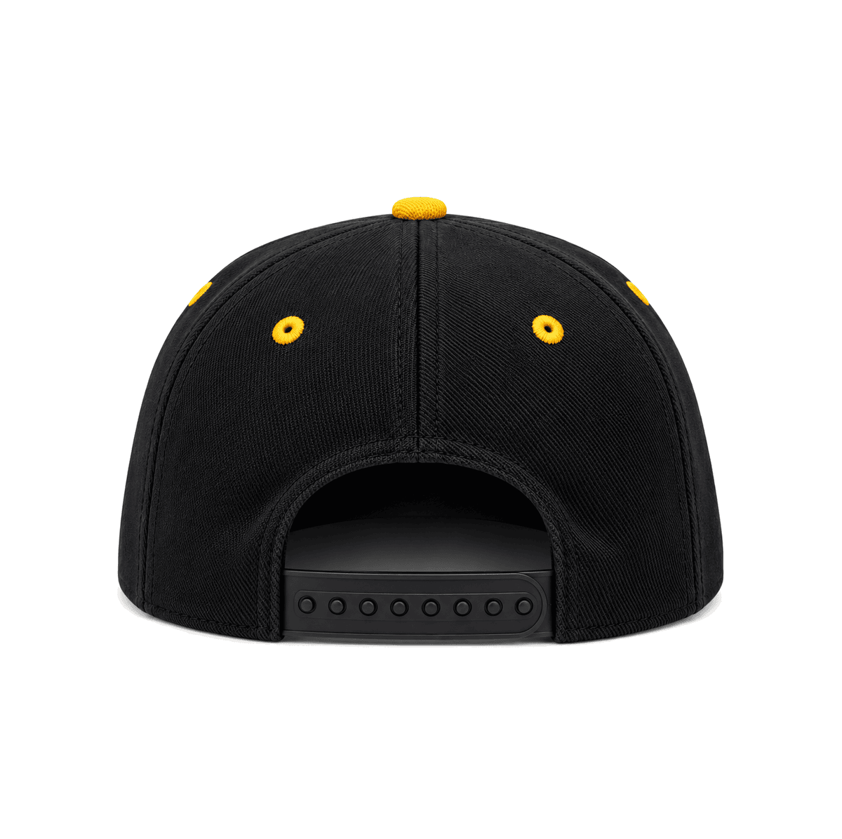 THE REEDSDALE — RESID3NCY Pittsburgh snapback, back