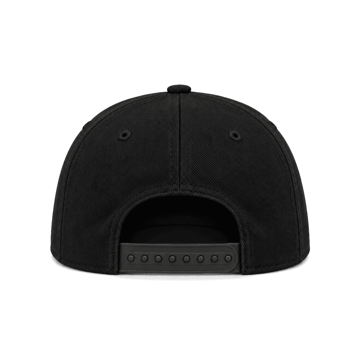 THE SMF — RESID3NCY Sacramento snapback, back
