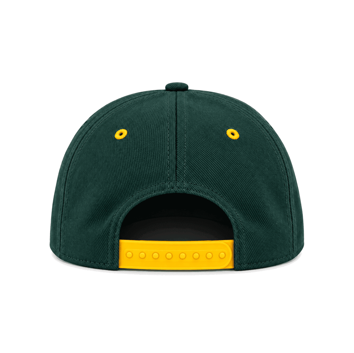 THE TWO FIFTEEN — RESID3NCY Las Vegas snapback, back