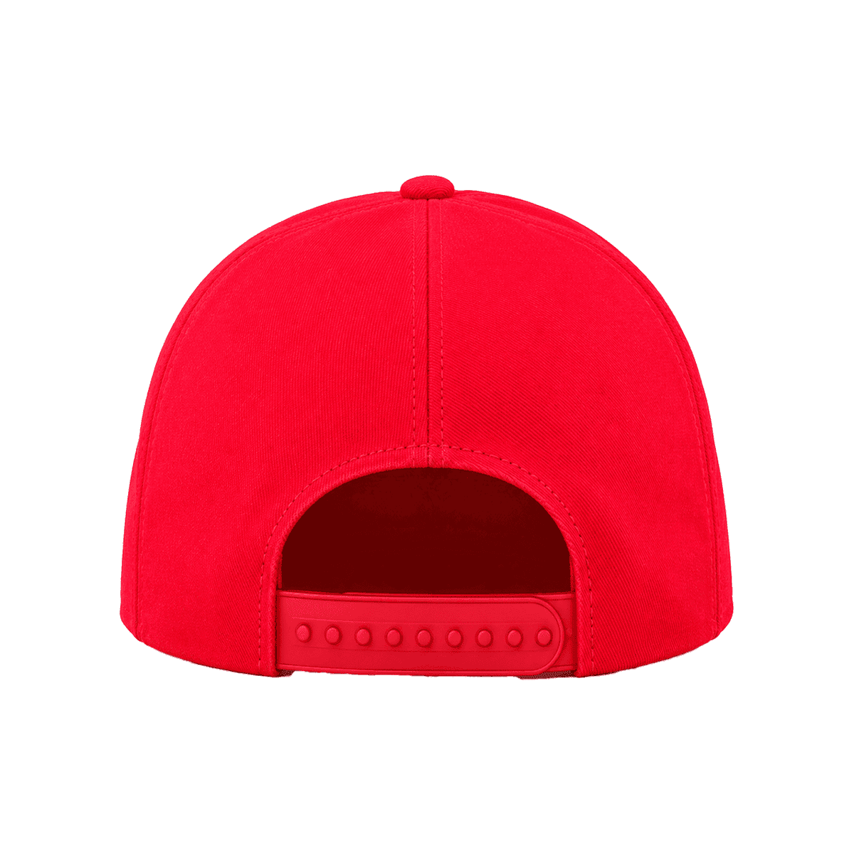 THE UNITED — RESID3NCY Chicago snapback, back