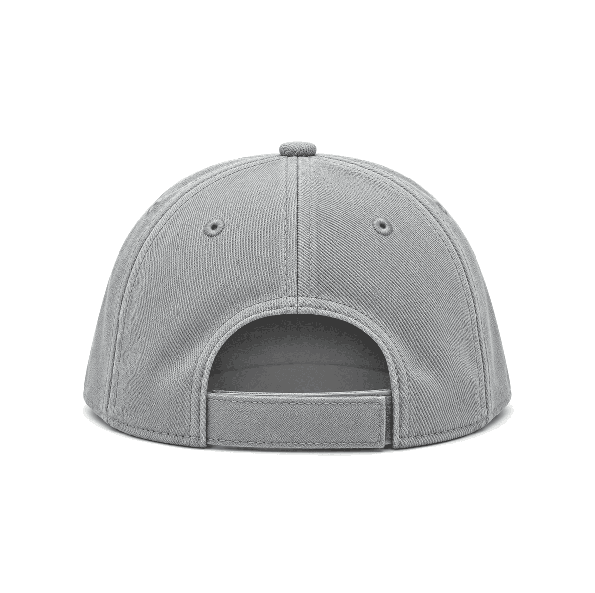 THE WHITE ROCK — RESID3NCY Dallas snapback, back
